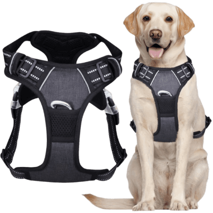 Pawsafe Harness