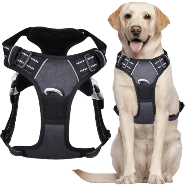 Buy Now Pawsafe Harness