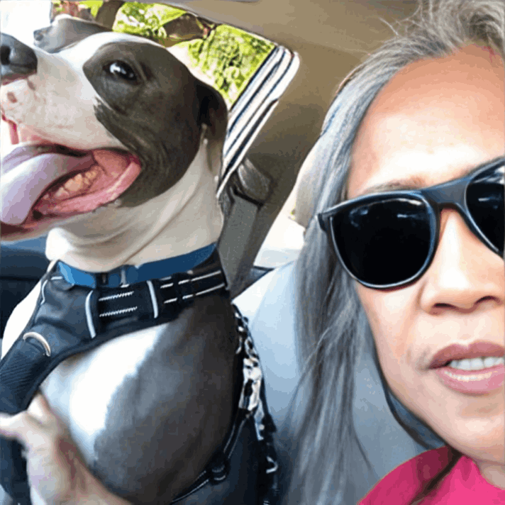 Pawsafe Harness customer review Tiana B